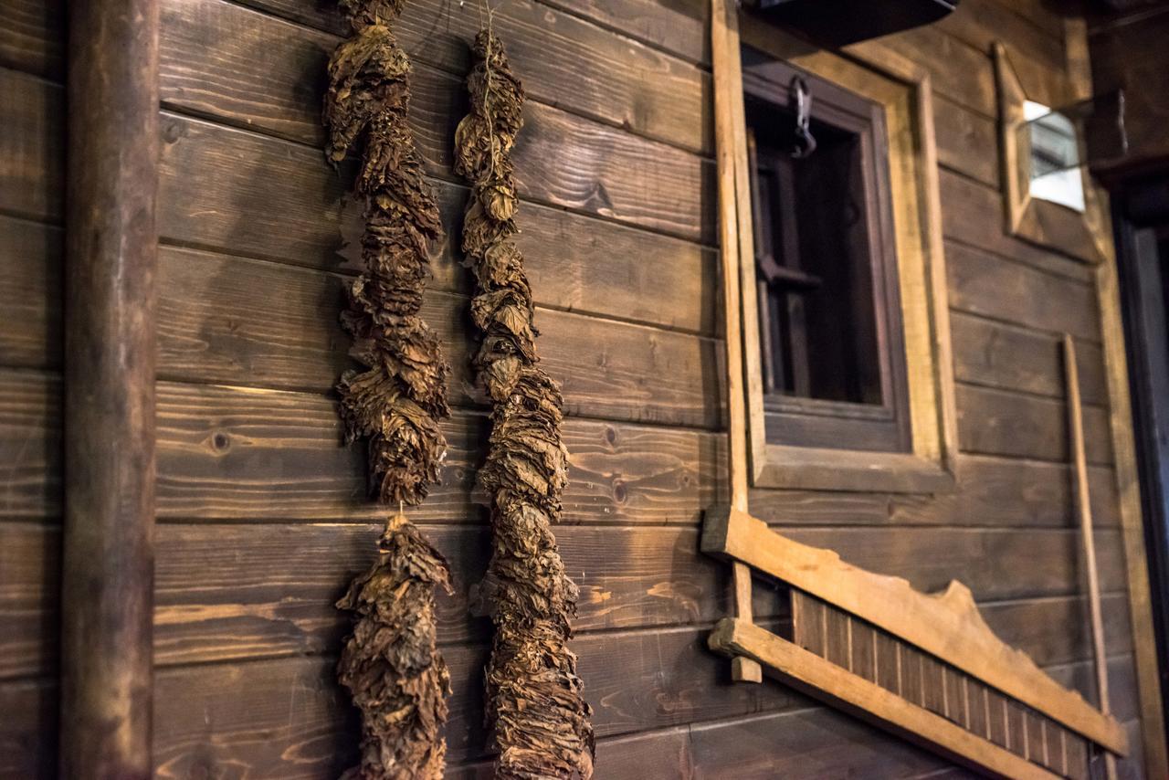 Banskovilla Zlateva House Affittacamere